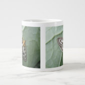 Small Magpie Moth Tasse (Vorderseite)