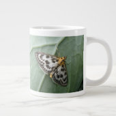 Small Magpie Moth Tasse (Rechts)