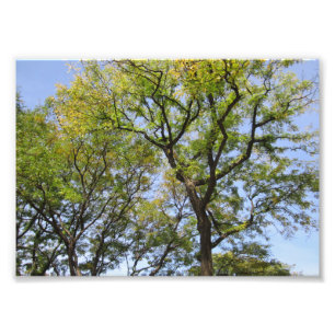 SMALL Poster # L003 auf Foto