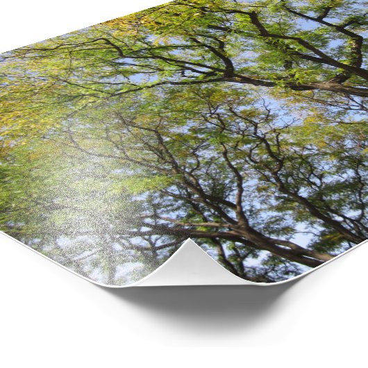 SMALL Poster # L003 auf Foto (Ecke)