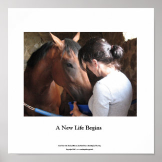 Small Poster Solo Tour und Darla Jeffery