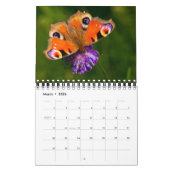 Small Size Beautiful Butterflies Calendar Kalender (Mär 2026)