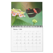 Small Size Beautiful Butterflies Calendar Kalender (Feb 2026)