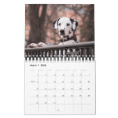 Small Size Dog Lovers Calendar Kalender (Mär 2026)