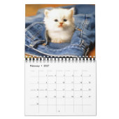 Small Size Kittens Calendar Kalender (Feb 2027)