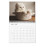 Small Size Kittens Calendar Kalender (Mär 2027)