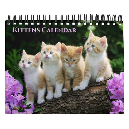 Small Size Kittens Calendar Kalender (Titelbild)
