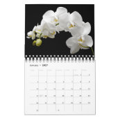 Small Size Orchids Calendar Kalender (Jan 2027)