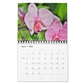 Small Size Orchids Calendar Kalender (Mär 2026)