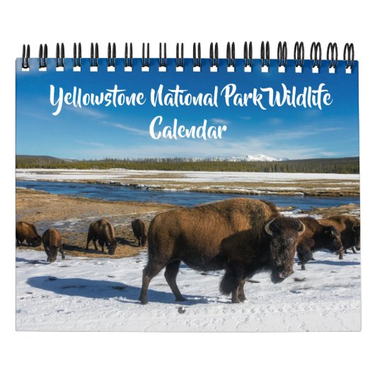 Small Size Yellowstone Calendar-Wildlife Calendar Kalender (Titelbild)