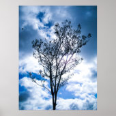 Small Tree Big World Poster (Vorne)