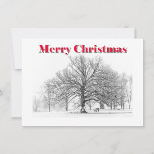 Small Winter Scene Weihnachtskarte White Bow (Flat Feiertagskarte