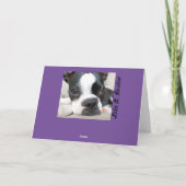 Smallish Nickerchen… oder ZWEI! Lola B. Boston Karte (Rückseite)