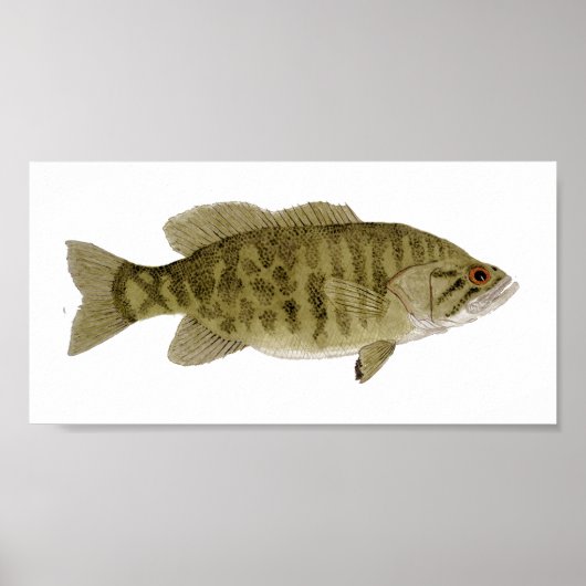 Smallmouth Bass Art Poster (Vorne)