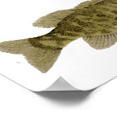 Smallmouth Bass Art Poster (Ecke)