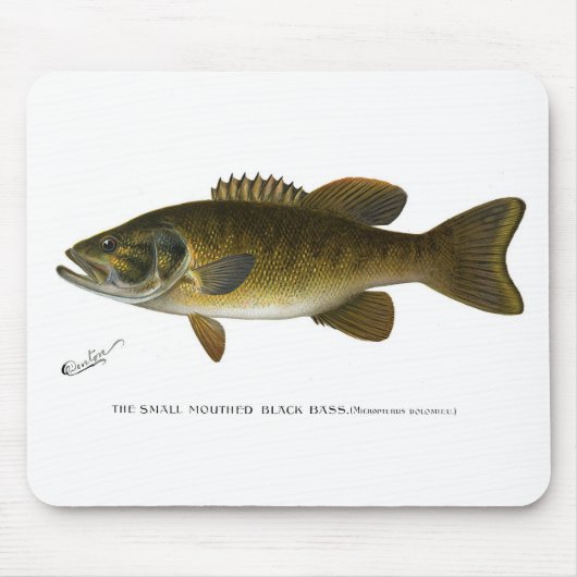 Smallmouth bass mousepad (Vorne)