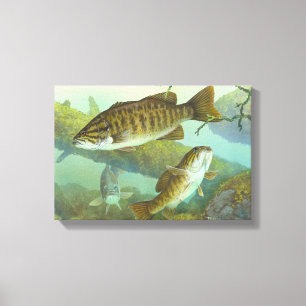 Smallmouth Bass Painting Leinwanddruck
