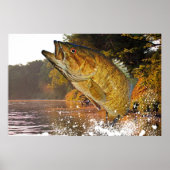 Smallmouth Bass Poster (Vorne)