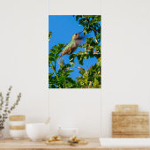 Smaragd-Flash: Kolibri in Bewegung Poster (Küche)