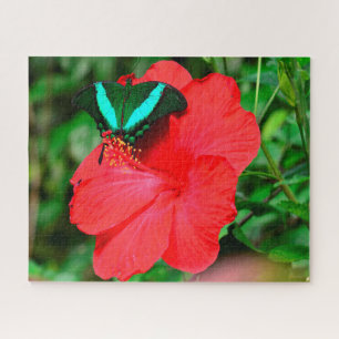 Smaragd-Schwalbenschwanzschmetterling Puzzle