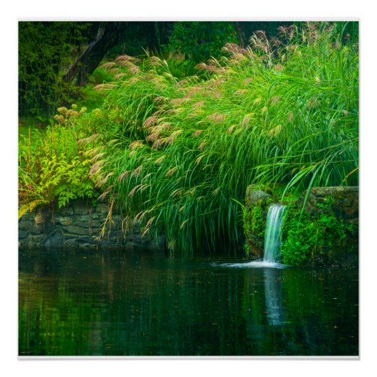 Smaragd-Stille am Gartenfall Poster (Vorderseite)