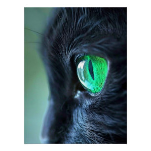 Smaragdauge Schwarze Katze Poster