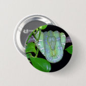 Smaragdbaum BoA-Morticia Knopf Button (Vorne & Hinten)