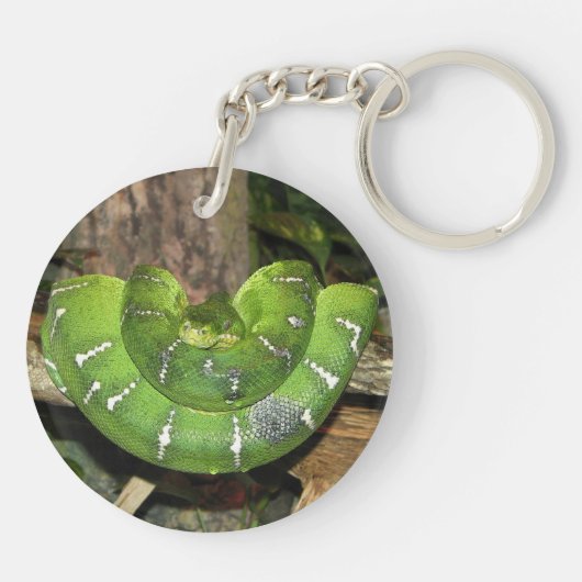 Smaragdbaum-Boa-Schlangen-Schlüsselanhänger Schlüsselanhänger (Rückseite)