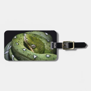 Smaragdboa der grünen Baumschlange in Bolivien Gepäckanhänger