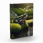 Smaragde Stille: Ein grüner Frosch am Fluss Fotoblock (Links)