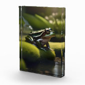 Smaragde Stille: Ein grüner Frosch am Fluss Fotoblock (Rechts)