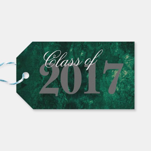 Smaragdgrün | Deep Jade Velvet Grunge Jewel Tone Geschenkanhänger (Rückseite Horizontal)