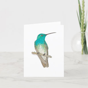 Smaragdgrüner Hummingvogel Dankeskarte