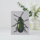 Smaragdkäfer-Produkte Postkarte (Stehend Vorderseite)