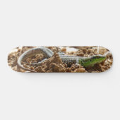 Smarald lizard Salamander auf Erden Skateboard (Horizontal)