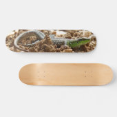 Smarald lizard Salamander auf Erden Skateboard (Horizontal)