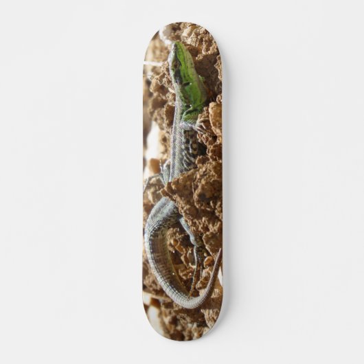 Smarald lizard Salamander auf Erden Skateboard (Vorne)