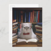 Smart-Abschluss-Katze Ankündigungspostkarte (Vorne/Hinten)