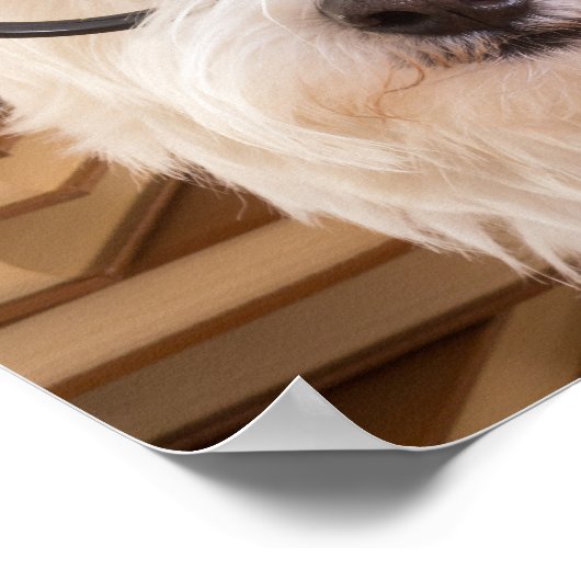 Smart Doggie Poster (Ecke)