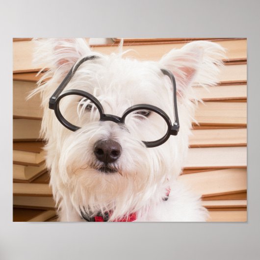 Smart Doggie Poster (Vorne)
