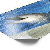 Smart Dolphin Fotodruck (Ecke)