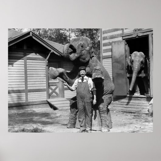 Smart Elephant Trick der 1910er Poster (Vorne)