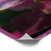 Smart Girls Poster (Ecke)