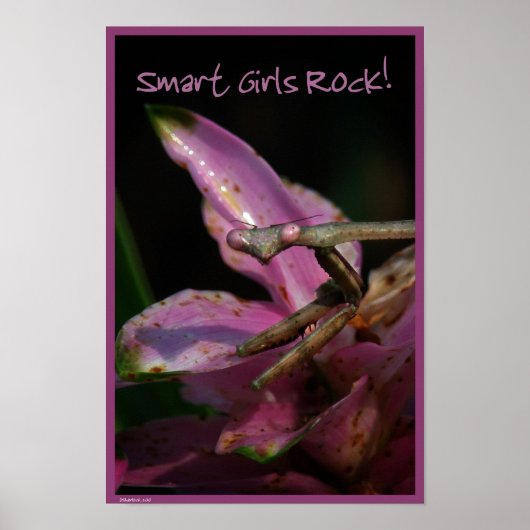 Smart Girls Poster (Vorne)