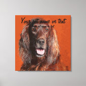 Smart Irish Setter Dog Leinwanddruck (Vorderseite)