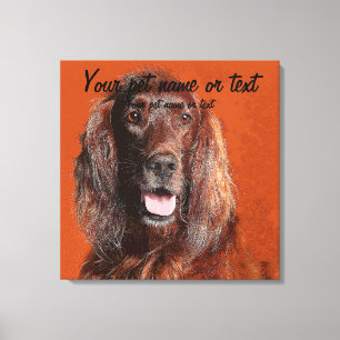 Smart Irish Setter Dog Leinwanddruck