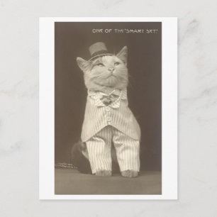 "Smart Set" Vintage Katze im Abendkleid Postkarte