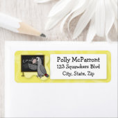 Smart Timneh African Gray (Insitu)