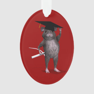 Smartest Rat in der Stadt Ornament