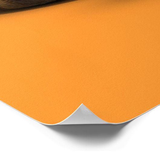 Smartester Fuchs von Campus Poster (Ecke)